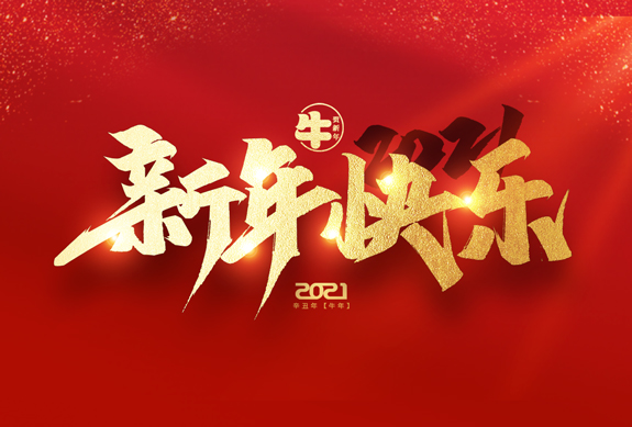 麗水市威儀自動(dòng)化技術(shù)有限公司祝全國人民2021年新年快樂！