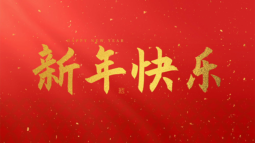 麗水市威儀自動化技術(shù)有限公司祝全國人民2025新年快樂！